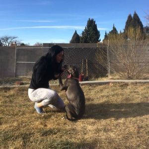 Meet your Posher, Crystal